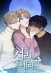 a-geada-sempre-caira-895