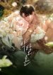casamento-predatorio-1037