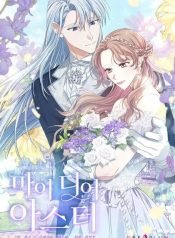 my-dear-aster-212