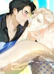o-primeiro-amor-do-dono-de-um-restaurante-de-sushi-e-uma-sereia-430